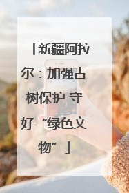 新疆阿拉尔：加强古树保护 守好“绿色文物”