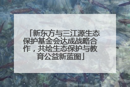 新东方与三江源生态保护基金会达成战略合作，共绘生态保护与教育公益新蓝图