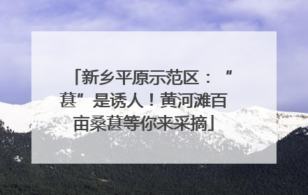 新乡平原示范区：“葚”是诱人！黄河滩百亩桑葚等你来采摘