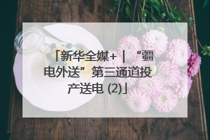 新华全媒+｜“疆电外送”第三通道投产送电 (2)