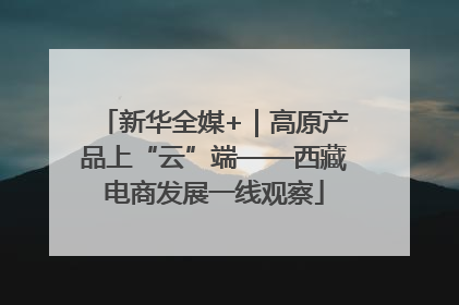 新华全媒+｜高原产品上“云”端——西藏电商发展一线观察