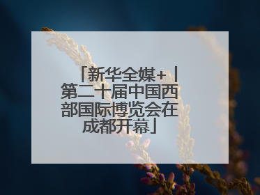 新华全媒+丨第二十届中国西部国际博览会在成都开幕