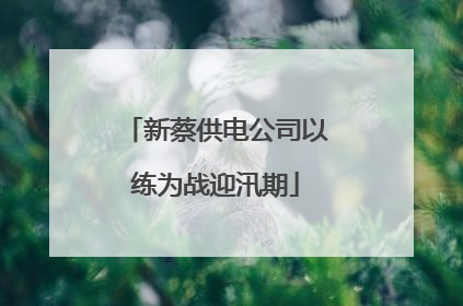 新蔡供电公司以练为战迎汛期