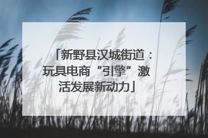 新野县汉城街道：玩具电商“引擎”激活发展新动力