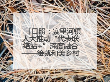 日照：寨里河镇人大推动“代表联络站+”深度融合——绘就和美乡村幸福画卷