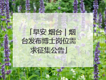 早安 烟台｜烟台发布博士岗位需求征集公告