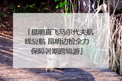 昆明直飞马尔代夫航线复航 昆明边检全力保障暑期跨境游
