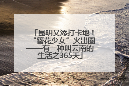 昆明又添打卡地！“簪花少女”火出圈——有一种叫云南的生活之365天