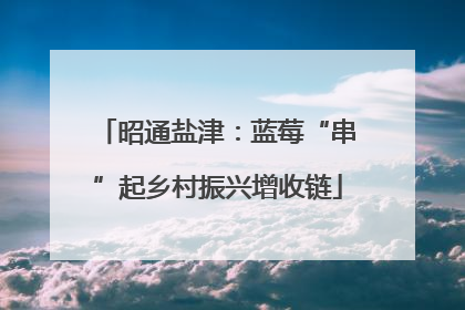 昭通盐津：蓝莓“串”起乡村振兴增收链