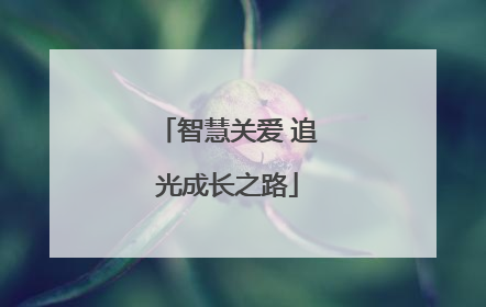 智慧关爱 追光成长之路
