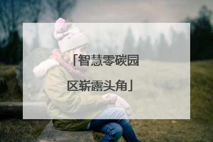 智慧零碳园区崭露头角