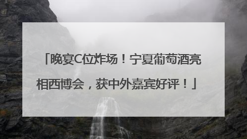 晚宴C位炸场！宁夏葡萄酒亮相西博会，获中外嘉宾好评！