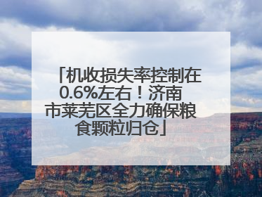 机收损失率控制在0.6%左右！济南市莱芜区全力确保粮食颗粒归仓