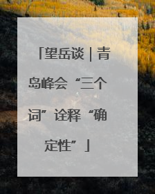 望岳谈｜青岛峰会“三个词”诠释“确定性”