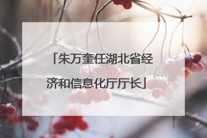朱万奎任湖北省经济和信息化厅厅长