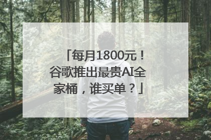 每月1800元！谷歌推出最贵AI全家桶，谁买单？