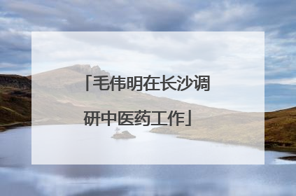毛伟明在长沙调研中医药工作