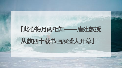 此心梅月两相知——唐建教授从教四十载书画展盛大开幕