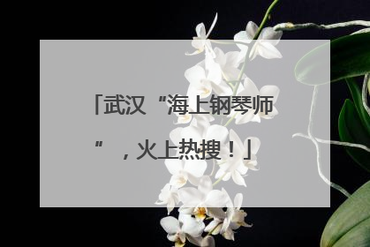 武汉“海上钢琴师”，火上热搜！
