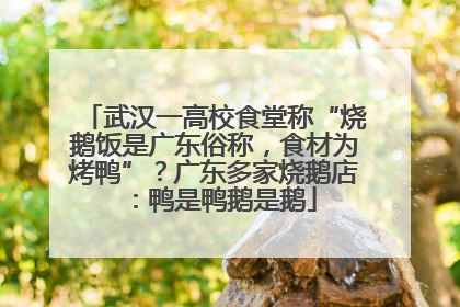 武汉一高校食堂称“烧鹅饭是广东俗称，食材为烤鸭”？广东多家烧鹅店：鸭是鸭鹅是鹅