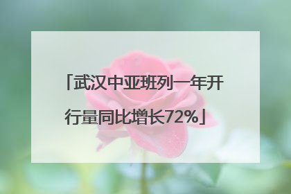 武汉中亚班列一年开行量同比增长72%