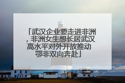 武汉企业要走进非洲，非洲女生想长居武汉 高水平对外开放推动鄂非双向奔赴
