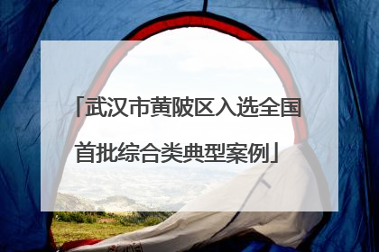 武汉市黄陂区入选全国首批综合类典型案例