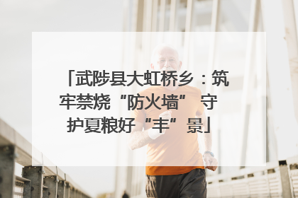 武陟县大虹桥乡：筑牢禁烧“防火墙” 守护夏粮好“丰”景