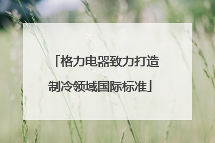 格力电器致力打造制冷领域国际标准