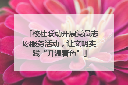 校社联动开展党员志愿服务活动，让文明实践“升温着色”