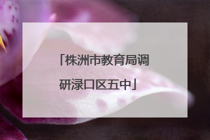 株洲市教育局调研渌口区五中