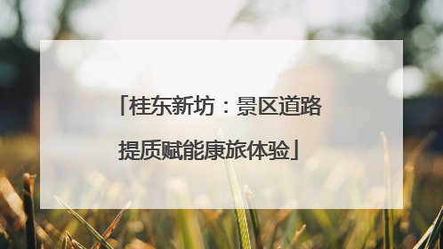 桂东新坊：景区道路提质赋能康旅体验