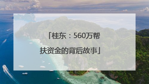 桂东：560万帮扶资金的背后故事