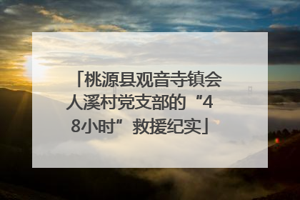 桃源县观音寺镇会人溪村党支部的“48小时”救援纪实