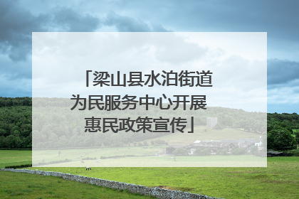梁山县水泊街道为民服务中心开展惠民政策宣传