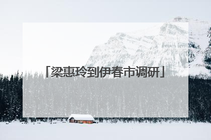 梁惠玲到伊春市调研