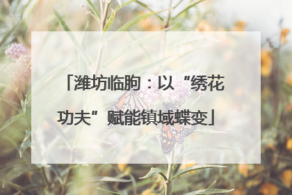 潍坊临朐：以“绣花功夫”赋能镇域蝶变
