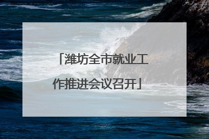 潍坊全市就业工作推进会议召开