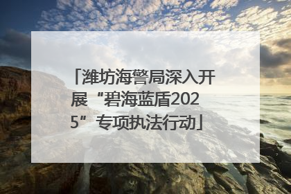潍坊海警局深入开展“碧海蓝盾2025”专项执法行动