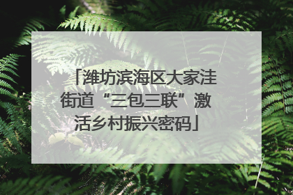 潍坊滨海区大家洼街道“三包三联”激活乡村振兴密码