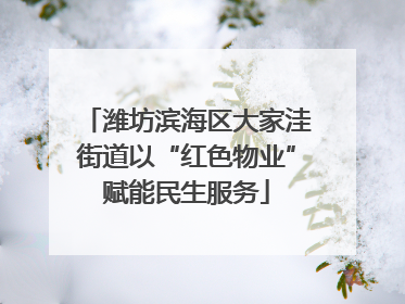 潍坊滨海区大家洼街道以“红色物业”赋能民生服务