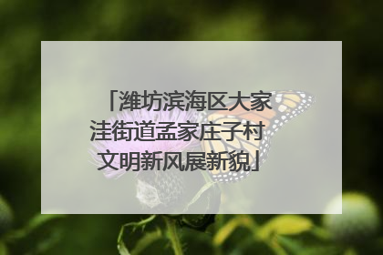 潍坊滨海区大家洼街道孟家庄子村文明新风展新貌
