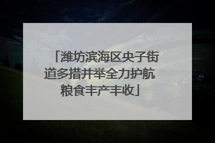 潍坊滨海区央子街道多措并举全力护航粮食丰产丰收
