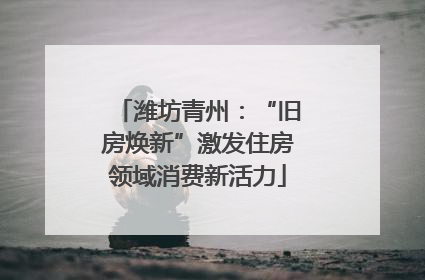 潍坊青州：“旧房焕新”激发住房领域消费新活力