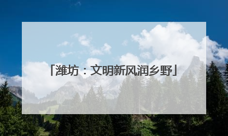 潍坊：文明新风润乡野