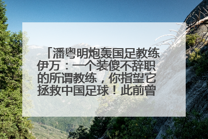 潘粤明炮轰国足教练伊万：一个装傻不辞职的所谓教练，你指望它拯救中国足球！此前曾多次发文评价国足