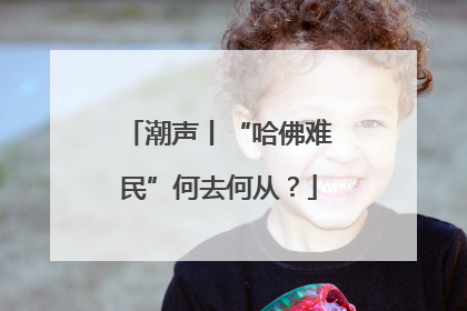 潮声丨“哈佛难民”何去何从？