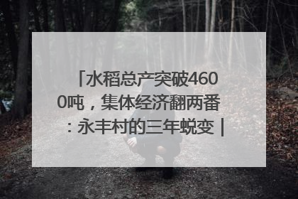 水稻总产突破4600吨，集体经济翻两番：永丰村的三年蜕变｜您牵挂的四川