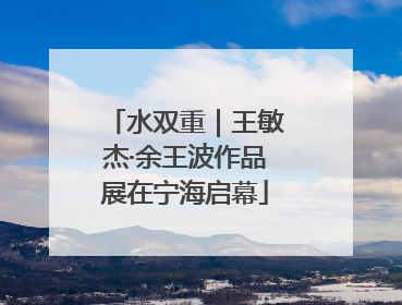 水双重｜王敏杰·余王波作品展在宁海启幕