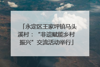 永定区王家坪镇马头溪村：“非遗赋能乡村振兴”交流活动举行